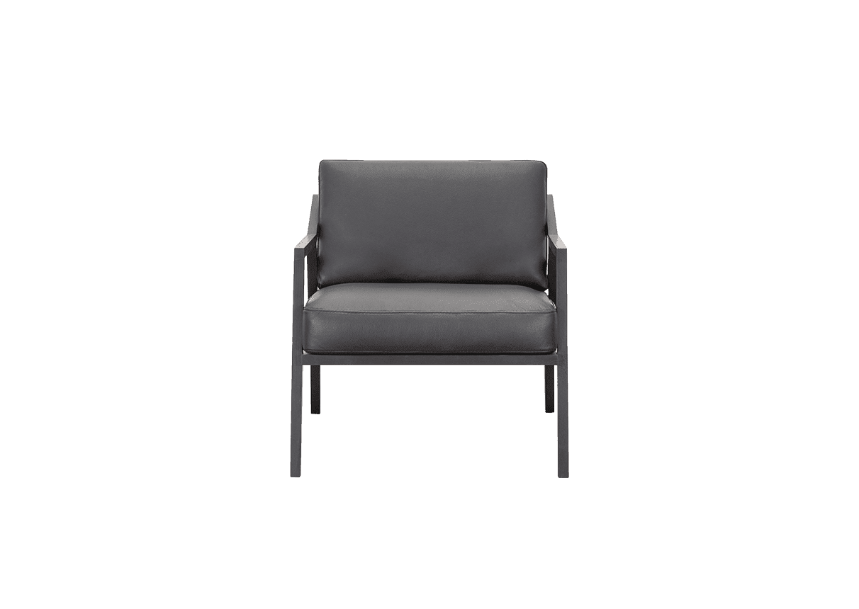 RHEN XL - image 1