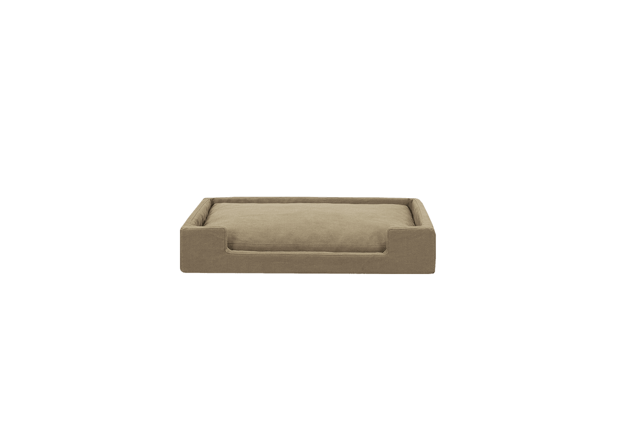 SHIBA - image 1